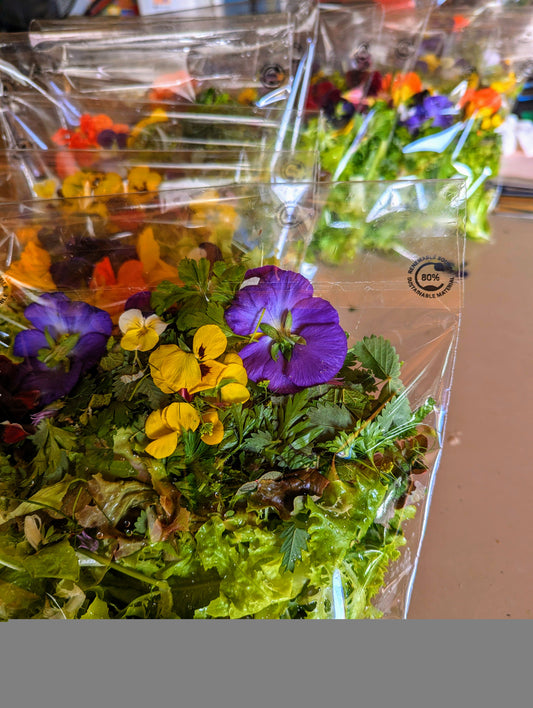 Salad Bags