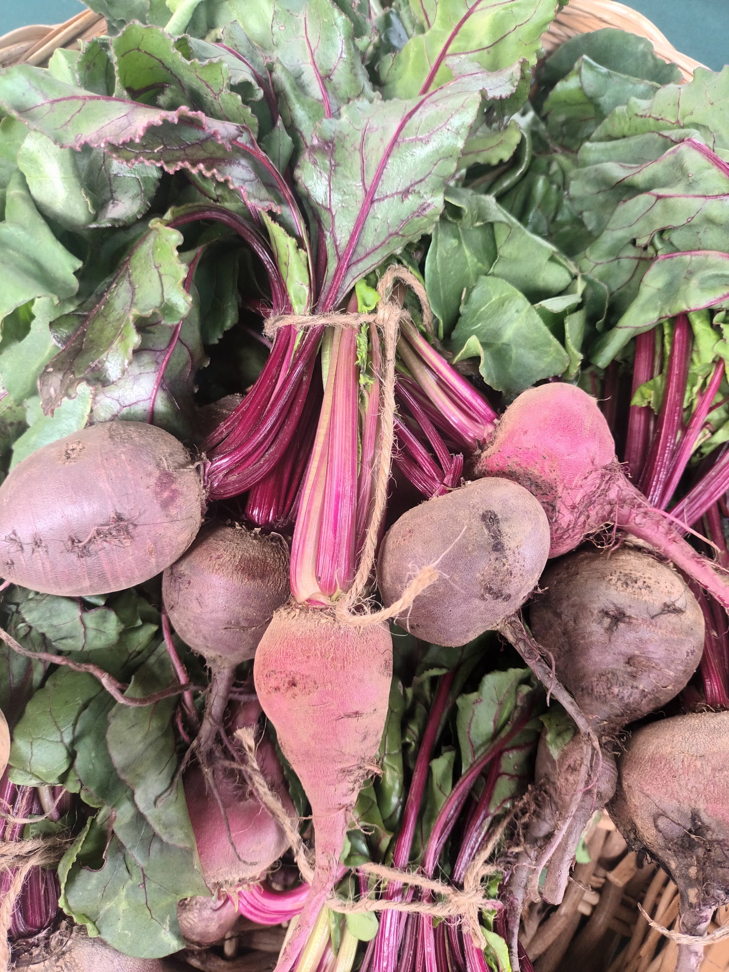 Baby Beets and Leaves