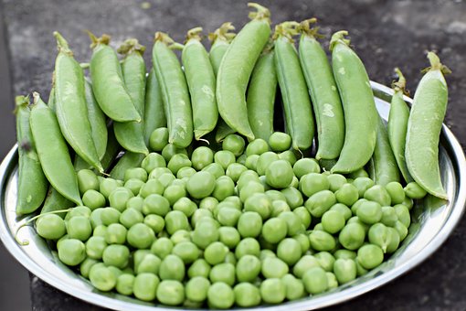 Garden Peas