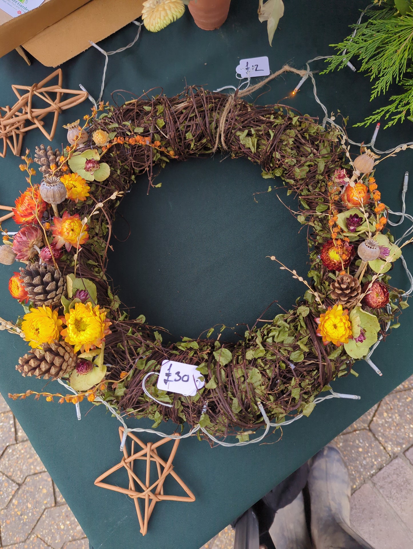Wreath, Large, Muehlenbeckia