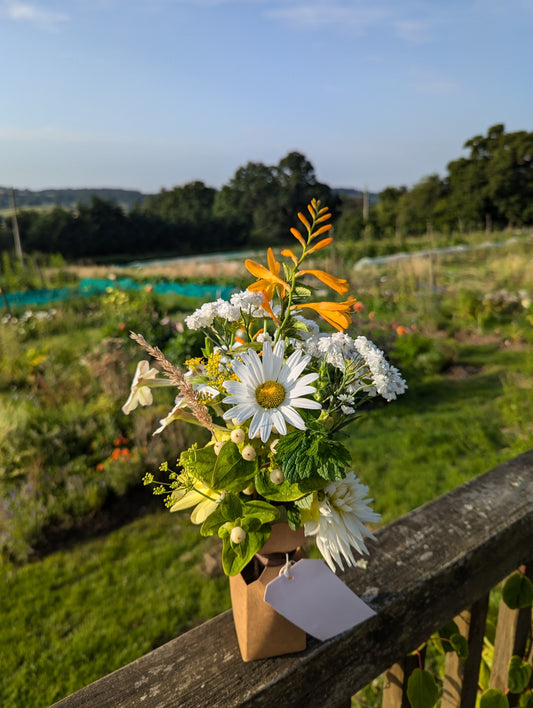 First flower delivery!