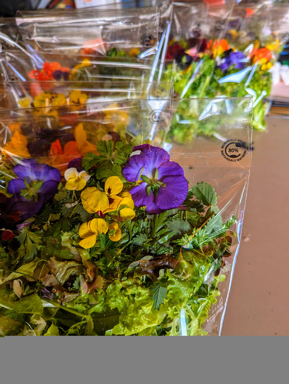 Salad Bags
