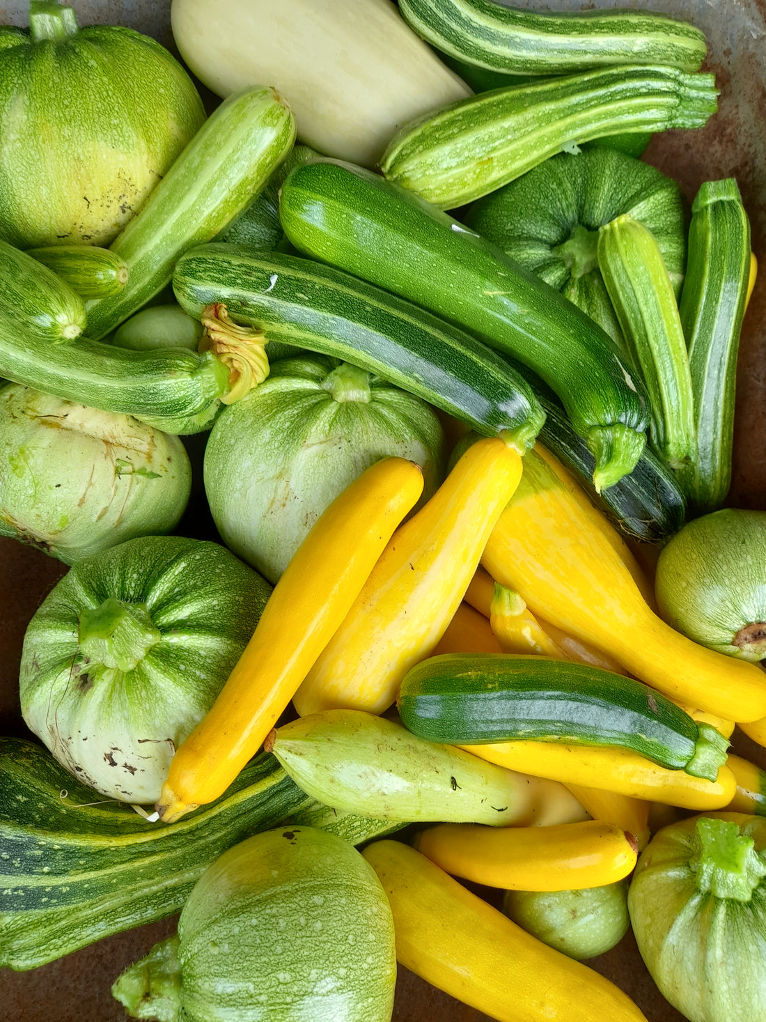 Courgette-tastic!