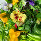 Luxury Leaf, Edible Flower and Herb Salad