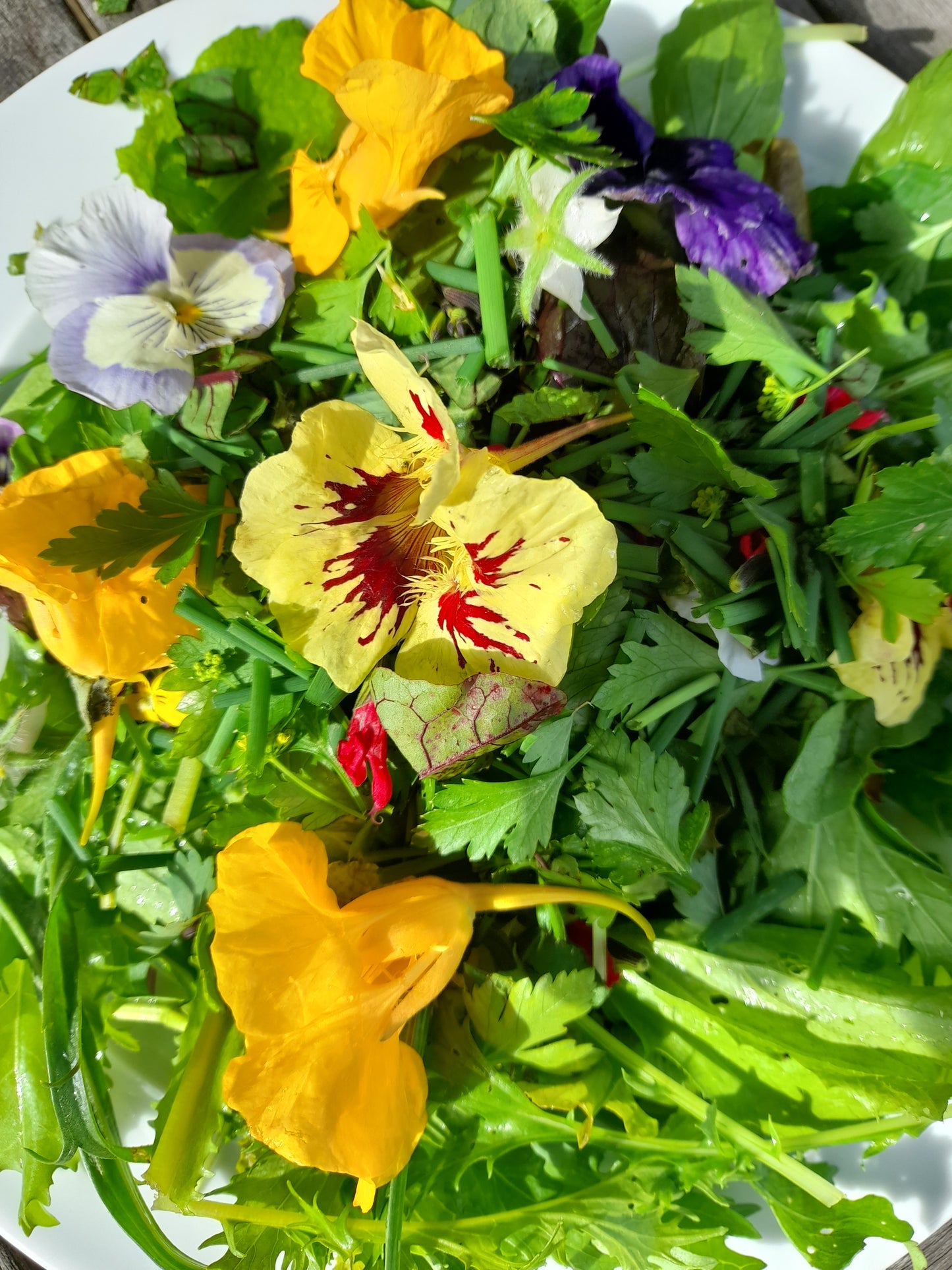 Luxury Leaf, Edible Flower and Herb Salad