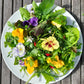 Luxury Leaf, Edible Flower and Herb Salad