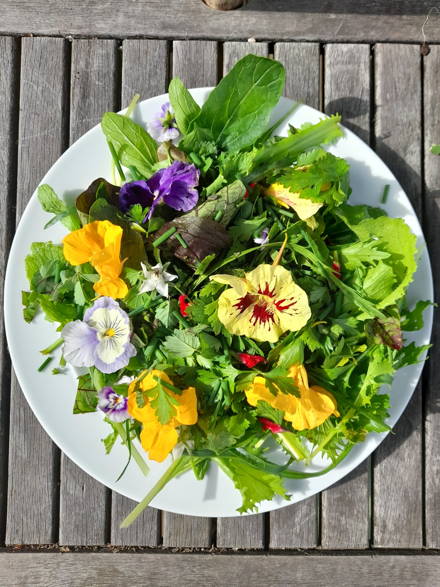 Luxury Leaf, Edible Flower and Herb Salad