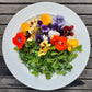 Edible Flower and Herb Mix