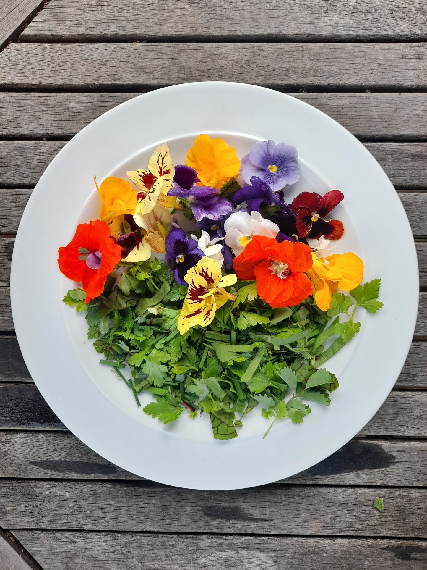 Edible Flower and Herb Mix