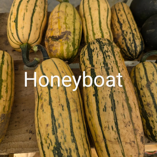 Squash Honeyboat