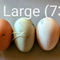 Eggs, Pasture Raised Chicken