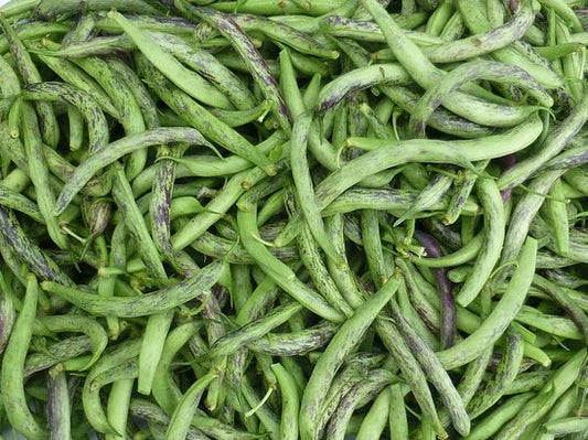 French Beans