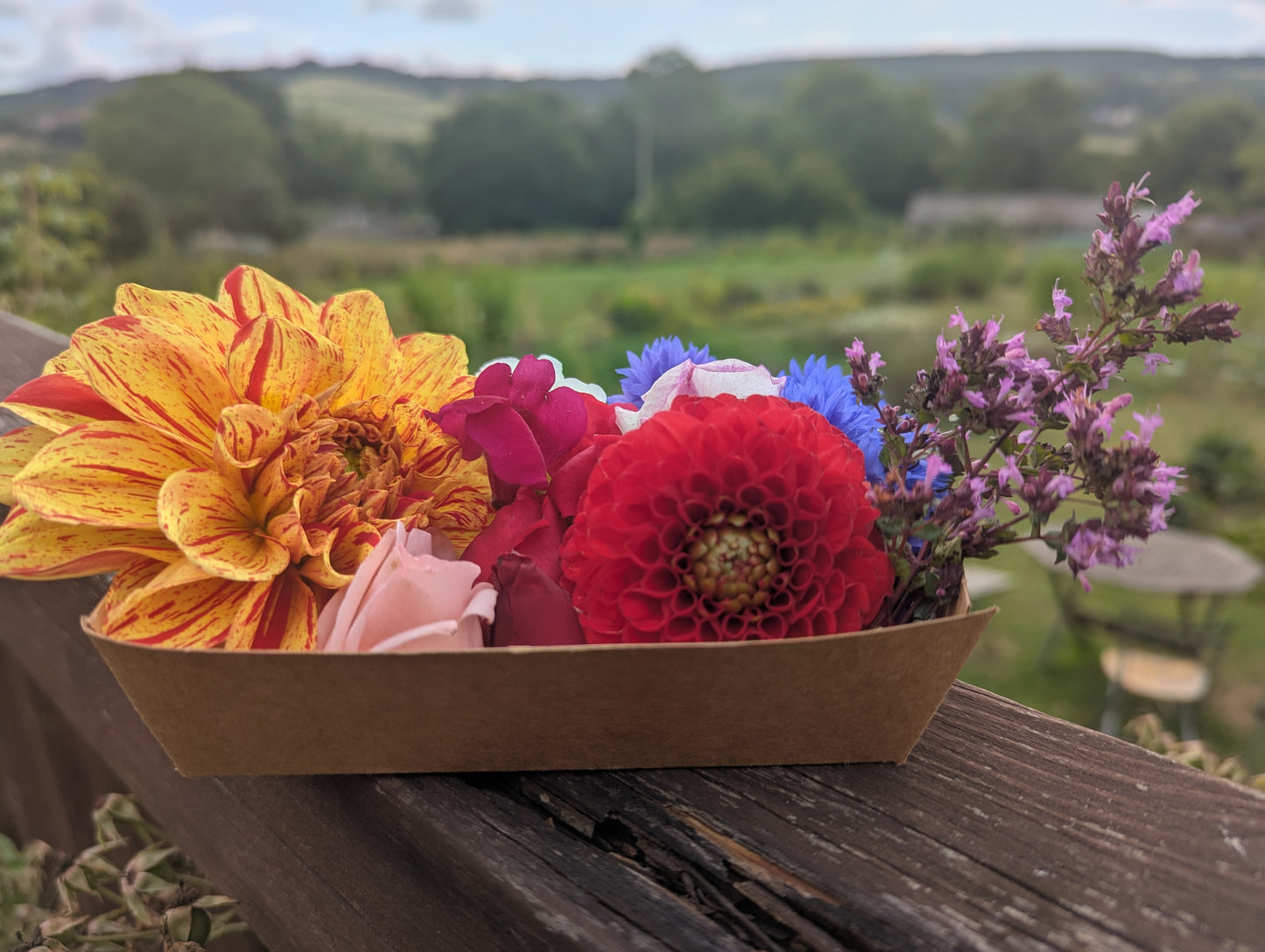 Seasonal Mixed Edible Flowers