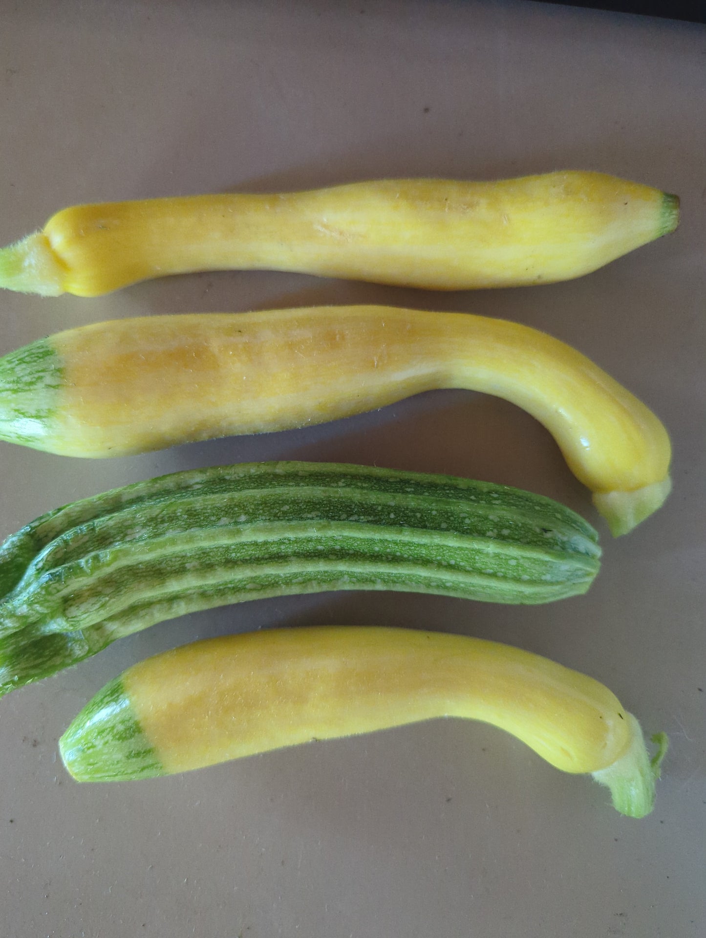 Courgettes, Baby