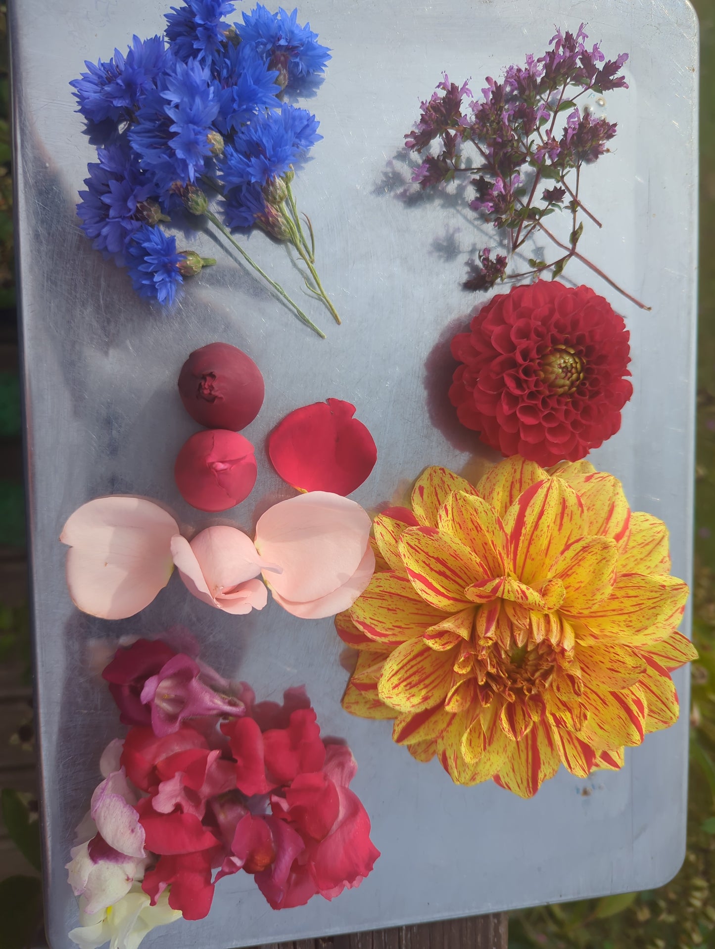 Seasonal Mixed Edible Flowers