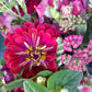 Hand-Tied Seasonal Flowers - Best of the Cutting Garden
